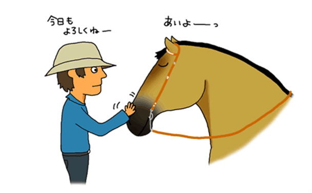 馬のじょうずななでかたは？