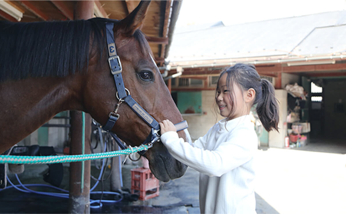 みんなで乗馬を始めよう