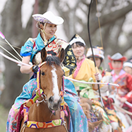 馬の多様な利活用