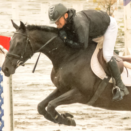 RRC(Retired Racehorse Cup・引退競走馬杯）