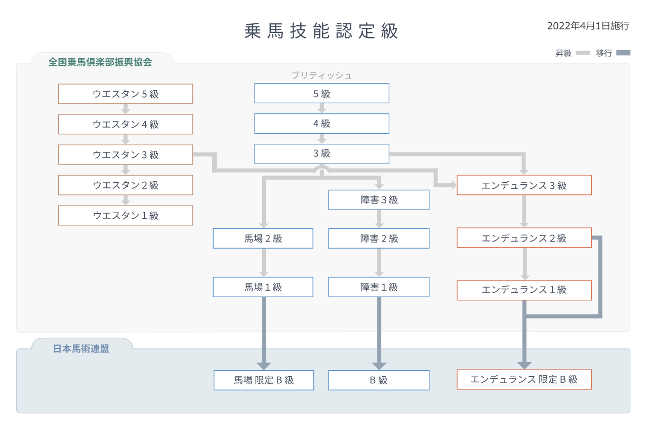 乗馬技能認定級