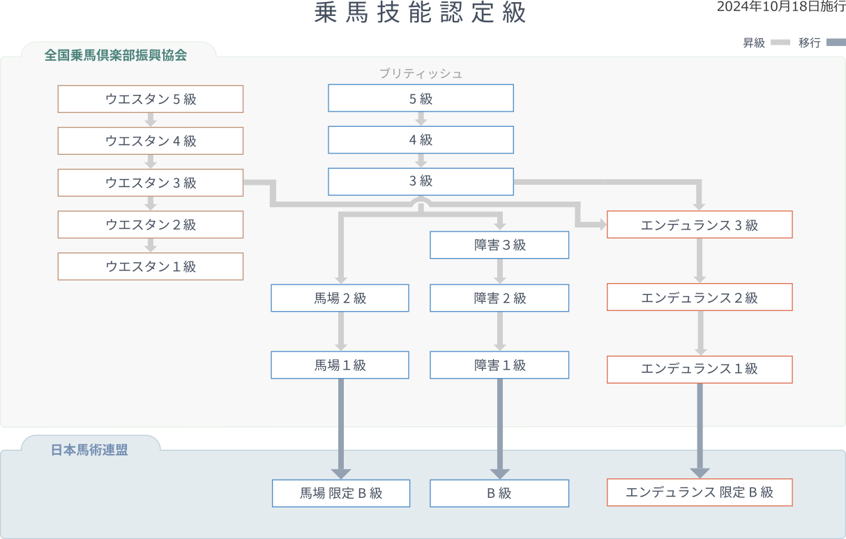 乗馬技能認定級